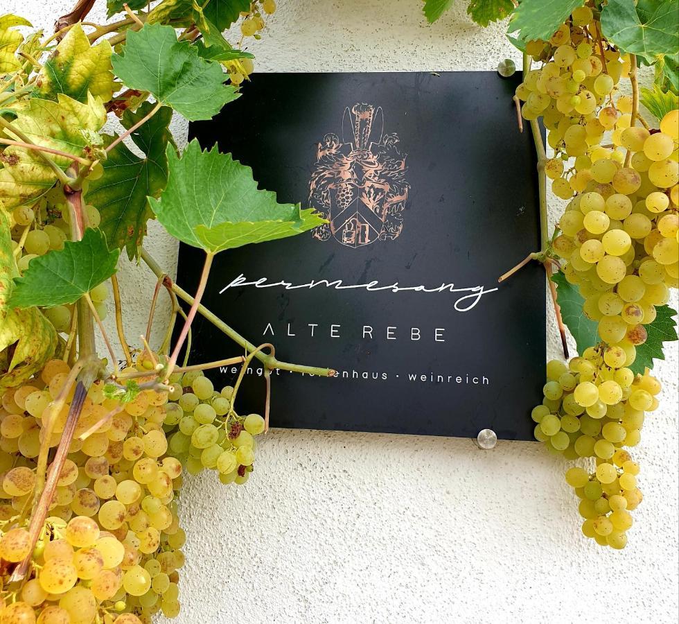Zur Alten Rebe Ferienhaus Und Weingut Konz Buitenkant foto