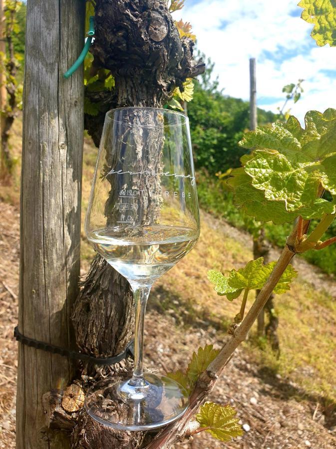 Zur Alten Rebe Ferienhaus Und Weingut Konz Buitenkant foto