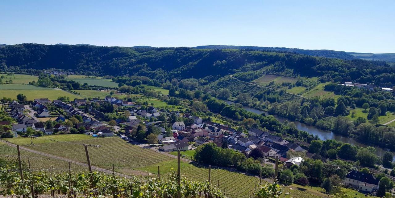 Zur Alten Rebe Ferienhaus Und Weingut Konz Buitenkant foto
