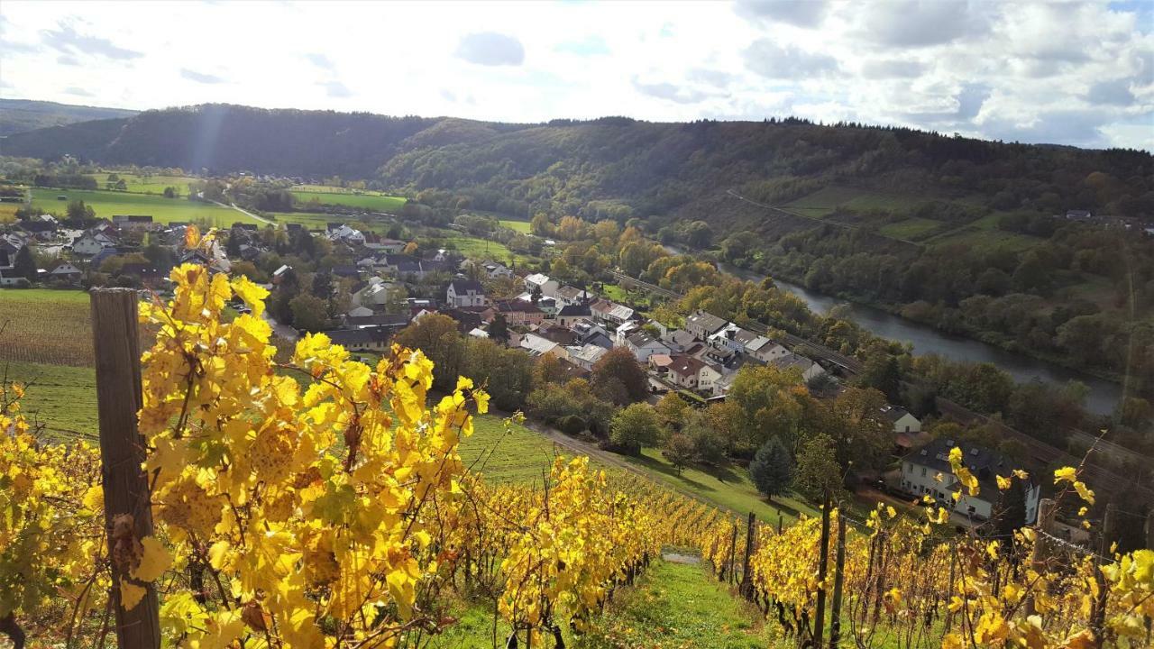 Zur Alten Rebe Ferienhaus Und Weingut Konz Buitenkant foto
