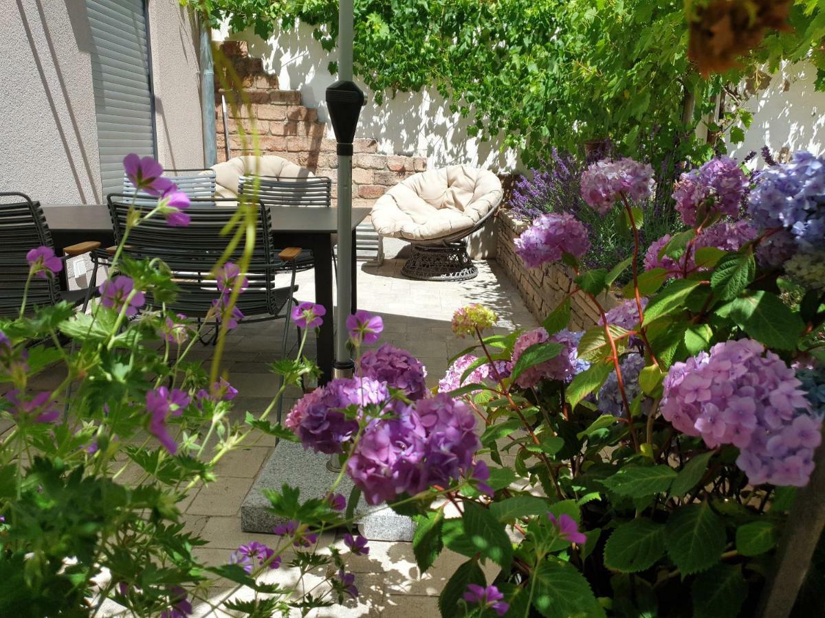 Zur Alten Rebe Ferienhaus Und Weingut Konz Buitenkant foto