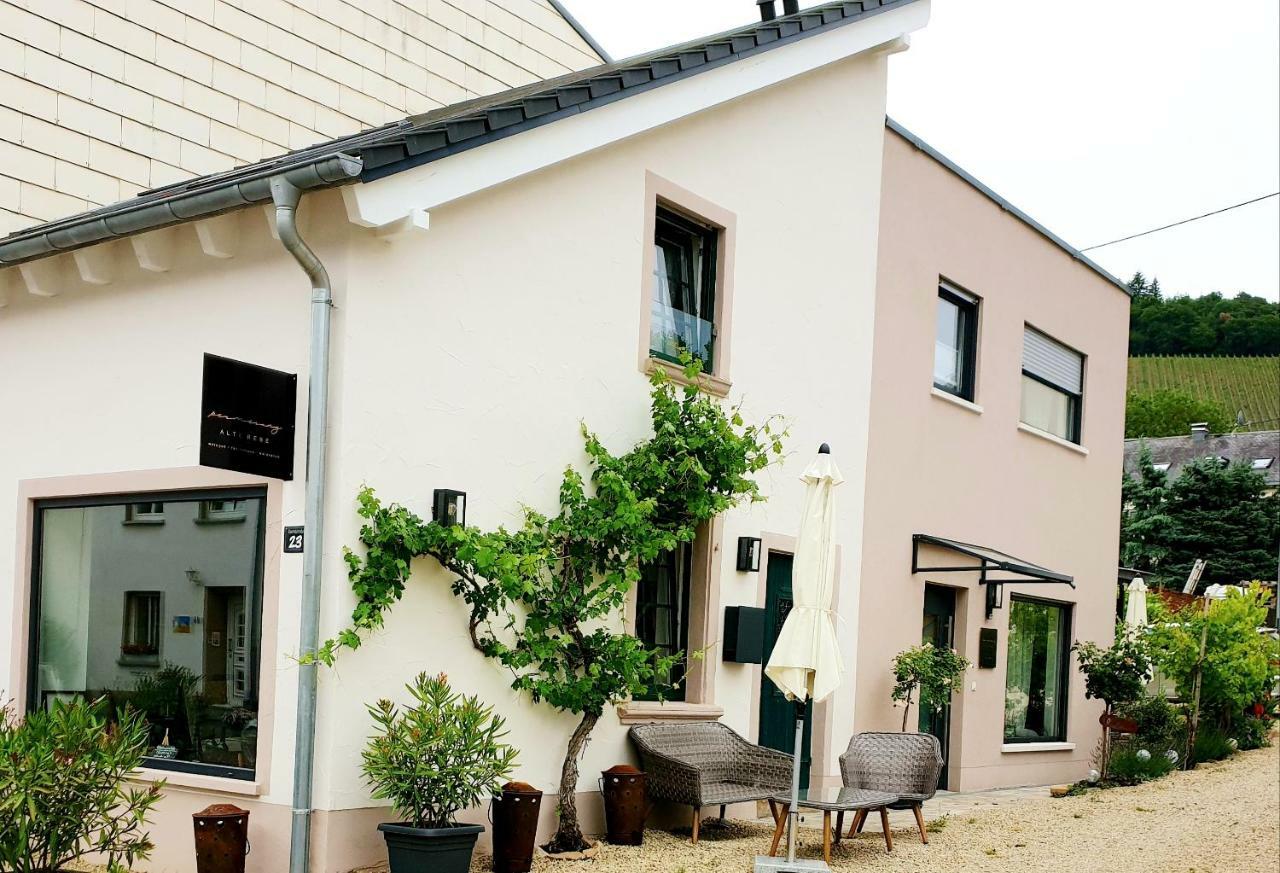 Zur Alten Rebe Ferienhaus Und Weingut Konz Buitenkant foto