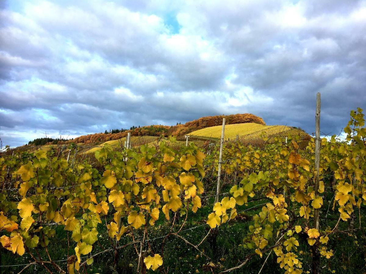 Zur Alten Rebe Ferienhaus Und Weingut Konz Buitenkant foto